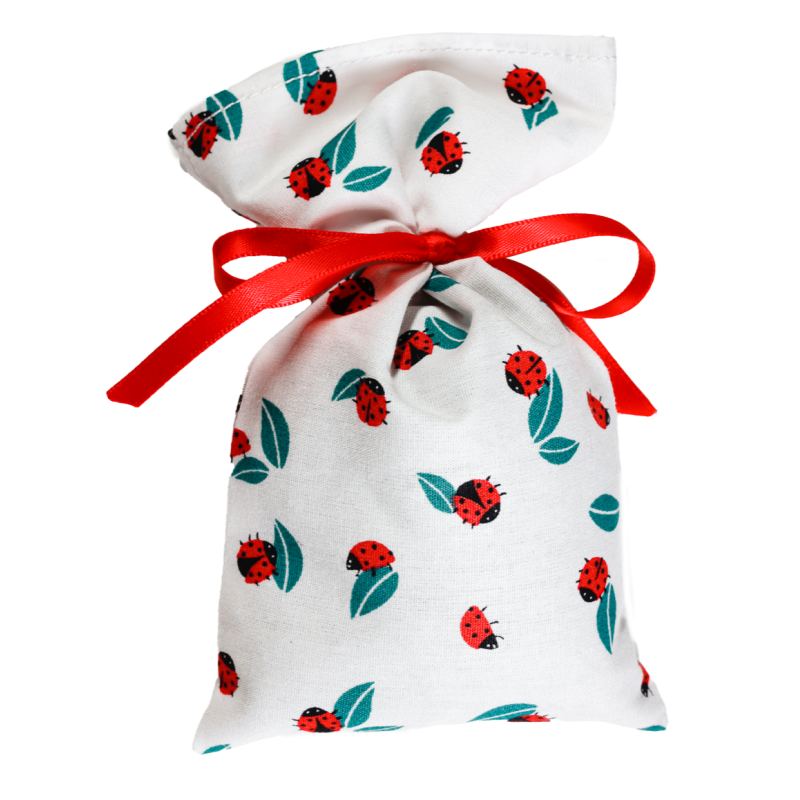 La lavande hivernale de la Coccinelle La lavande hivernale de la Coccinelle