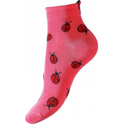 Vous avez dit Coccinelle ?