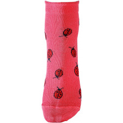 Vous avez dit Coccinelle ?