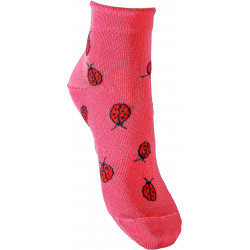 Vous avez dit Coccinelle ?