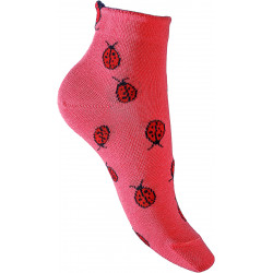 Vous avez dit Coccinelle ?