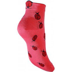 Vous avez dit Coccinelle ?
